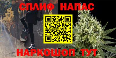 mdpv Новодвинск